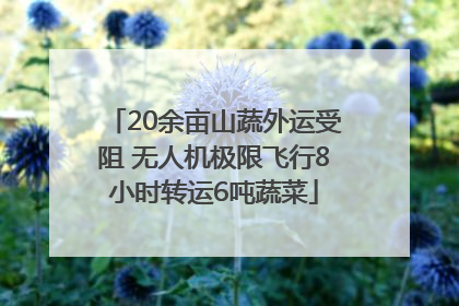 20余亩山蔬外运受阻 无人机极限飞行8小时转运6吨蔬菜